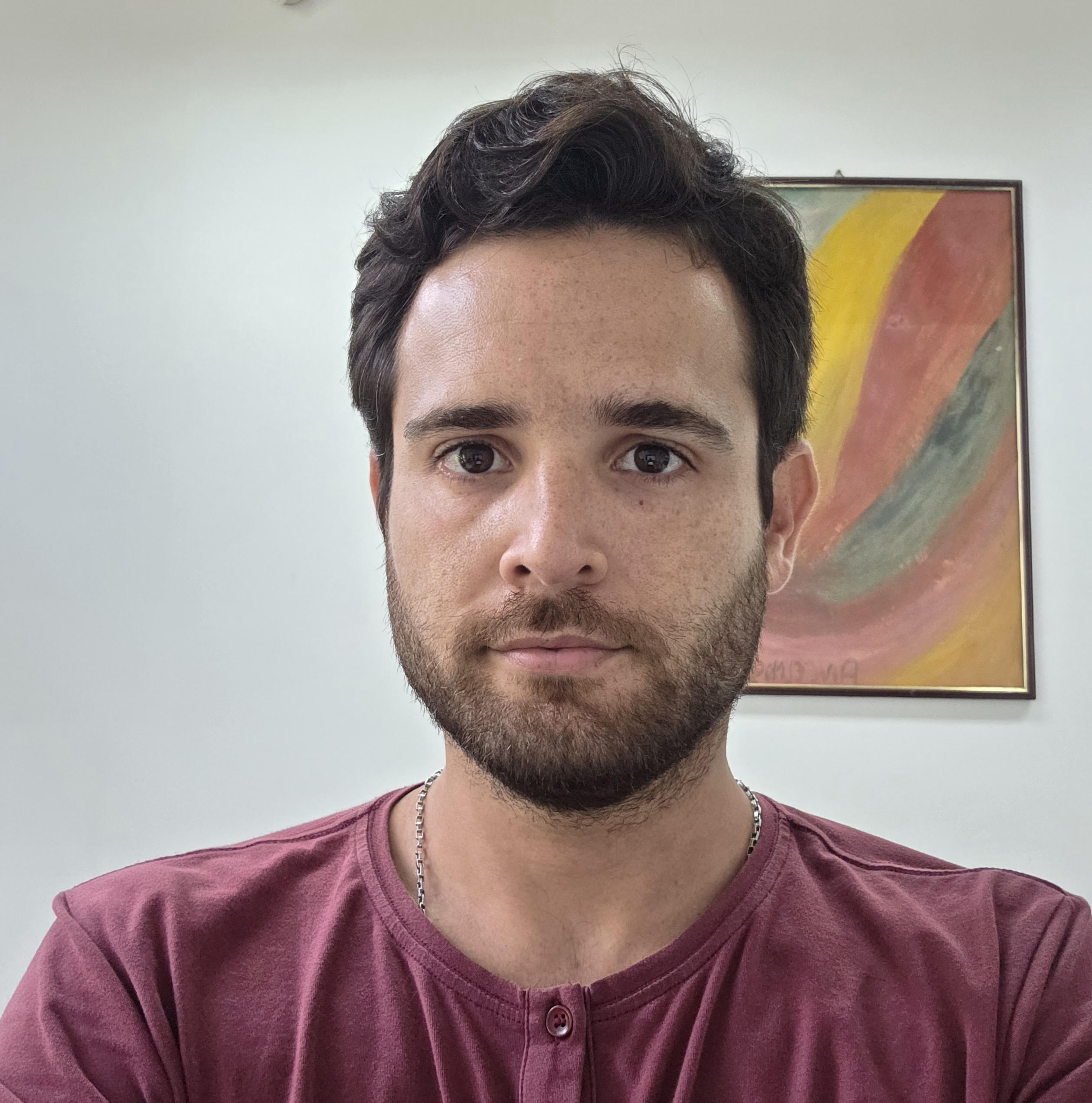 Filipe Briguiet Pereira